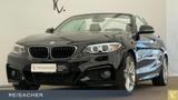 BMW 220d A Cabrio M-Sport RFK PDC KlimaA HiFi 18"LM - BMW 220: D
