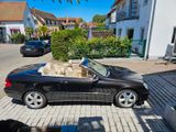 Mercedes-Benz CLK 200 KOMPRESSOR ELEGANCE ELEGANCE - Mercedes-Benz CLK 200: Elegance