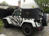 Jeep Wrangler Black Edition, weiß Zebrafolie 1.Hand - Jeep Wrangler in Essen