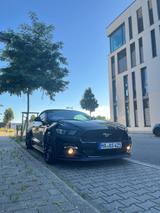 Ford Mustang GT 5.0 V8 EU Sport AGA Asch Motorsport - Ford: Sport