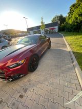 Ford Mustang 2.3 EcoBoost - - Ford Mustang: 2.2