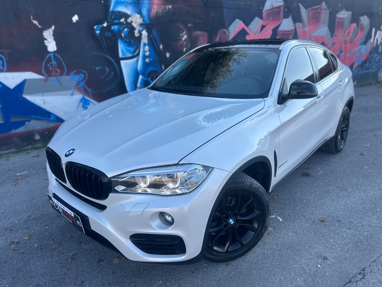 BMW BMW X6 X DRIVE AUT/F1/LED/NAVI/TETTO