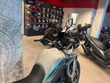 Honda XL750 Transalp E-Clutch *Tageszulassung 08-26* - HONDA TRANSALP