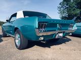 Ford Mustang - gebrauchte Ford Mustang aus dem Jahr 1967
