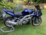 Suzuki  SV 1000 S    Remus   > 15tkm  - SUZUKI SV1000S