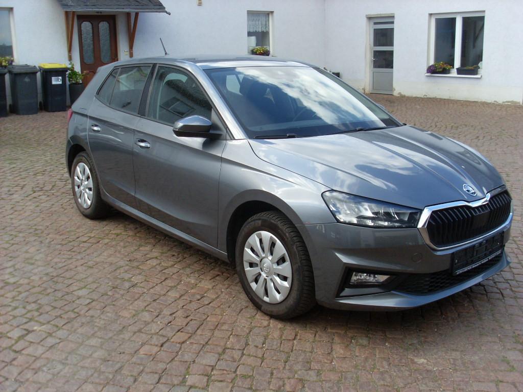 Skoda Fabia Selection