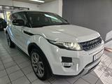 Land Rover Range Rover Evoque Dynamic*PANO*NAV*KAM*LEDER* - Land Rover