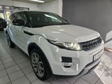 Land Rover Range Rover Evoque Dynamic*PANO*NAV*KAM*LEDER* - Land Rover: Geländewagen