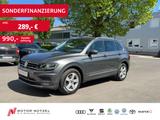 Volkswagen Tiguan 1.5 TSI DSG HIGHLINE LED+NAV+ACC+SHZ+AHK - Volkswagen Tiguan: 5n