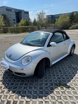 Volkswagen New Beetle 1.4 Cabriolet - - Volkswagen New Beetle mit Benzin-Antrieb: Cabrio, 1.4