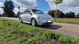 Volkswagen Beetle - Volkswagen Beetle in Düsseldorf