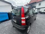 Fiat Panda 1.2 8V Dynamic,Klima,HU - gebrauchte Fiat Panda aus dem Jahr 2011