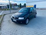 Volkswagen VW POLO 1.4 TDI - Volkswagen Polo aus 2000: TDI