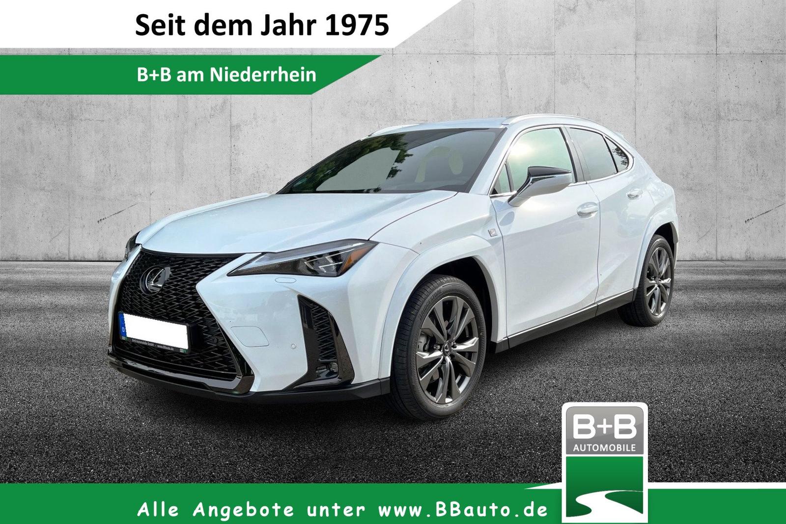 Lexus UX 250H F Sport Leder Kamera SHZ