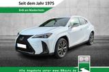 Lexus UX 250H F Sport Leder Kamera SHZ - weiße Lexus UX