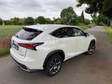 Lexus NX 300 300h E-FOUR - Launch Edition - Lexus NX 300 Gebrauchtwagen