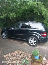 Mercedes-Benz ML 420 CDI AMG-Line,AHK - Mercedes-Benz ML 420: Cdi