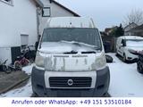 Fiat Ducato - Fiat Ducato: 9 Sitzer