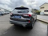 Ford Kuga ST-Line X 2.5 PHEV EU6d HUD Navi Soundsyste - Ford Kuga: Eu