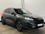 Ford Kuga 2.0 EcoBlue 4x4 Aut. ST-LINE X / ACC / AHK - Ford Kuga in Krefeld