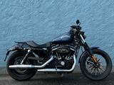 Harley-Davidson XL 883 IRON 5HD4 DT.-MODELL SH-GEPFLEGT - Angebote entsprechen deinen Suchkriterien