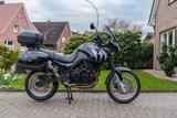 Triumph Tiger 955 i - TRIUMPH TIGER 955I