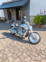 Harley-Davidson V-ROD Jubiläums Edition  - HARLEY-DAVIDSON 2003 V ROD