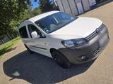 Volkswagen VW Caddy Maxi Team - Volkswagen Caddy Maxi: Team