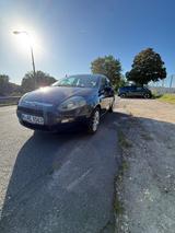 Fiat Punto 1.2 8V POP POP - Fiat Punto in Hannover