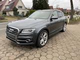 Audi SQ5 3.0 TDI quattro 313PS *8xAlu+guter Zustand* - Audi SQ5 Gebrauchtwagen in Hamburg