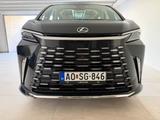 Lexus LM 350h Executive Executive - Lexus LM Gebrauchtwagen