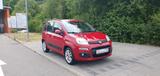 Fiat Panda Lounge*TÜV-NEU*KLIMA* - Fiat Panda: Lounge
