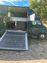 Renault Mascot 110 Pferdetransporter - Renault Mascot