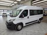 Fiat FIAT Ducato 35 2.3 150CV PM 9 POSTI Maxi Accesso - Fiat Ducato: 1.9