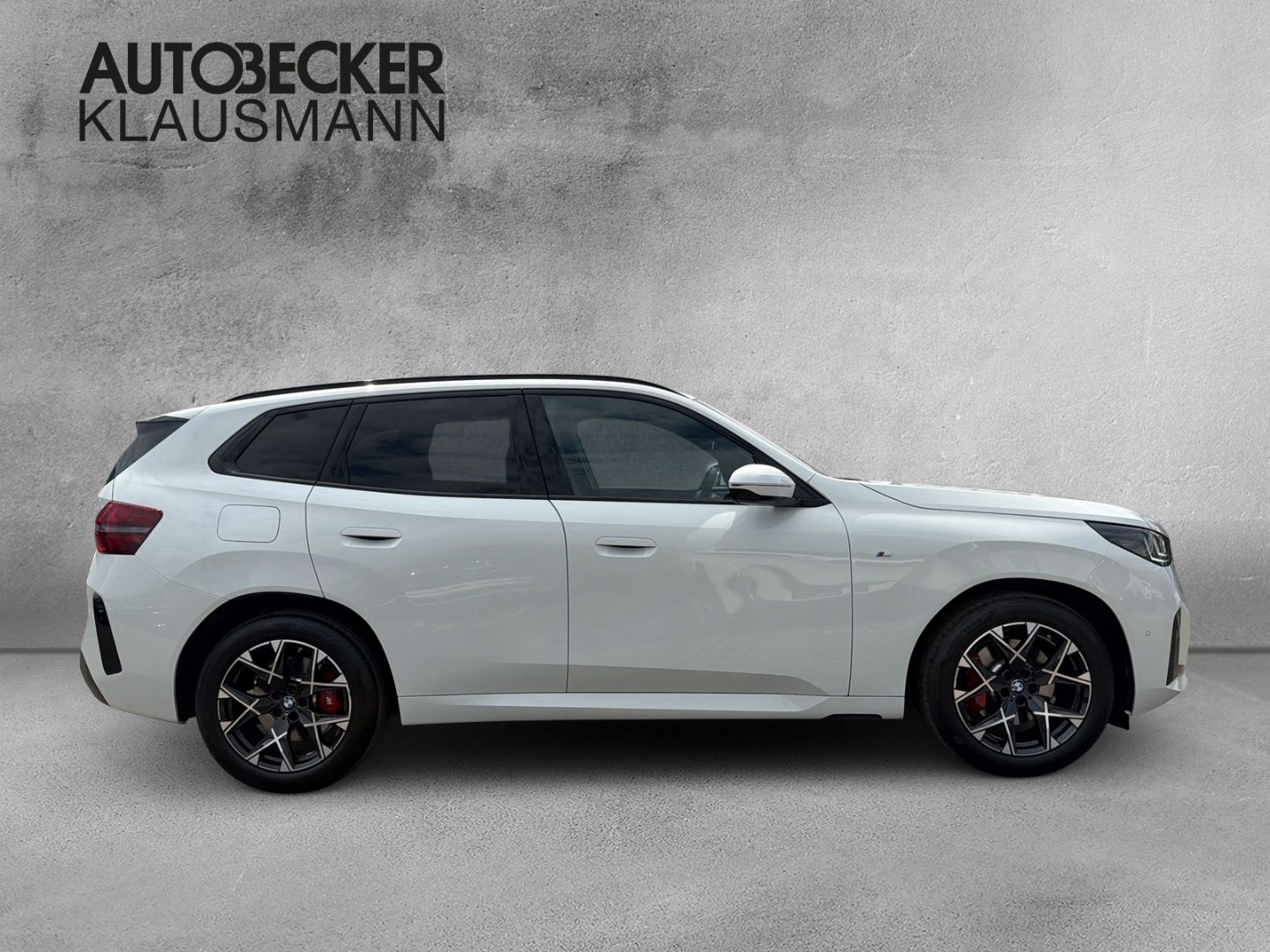 BMW X3 20d xDrive M SPORT PRO 19'' AHK MEMORY PARK foto 4