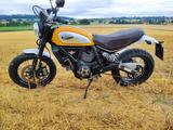 Ducati Scrambler  800 - DUCATI GELB