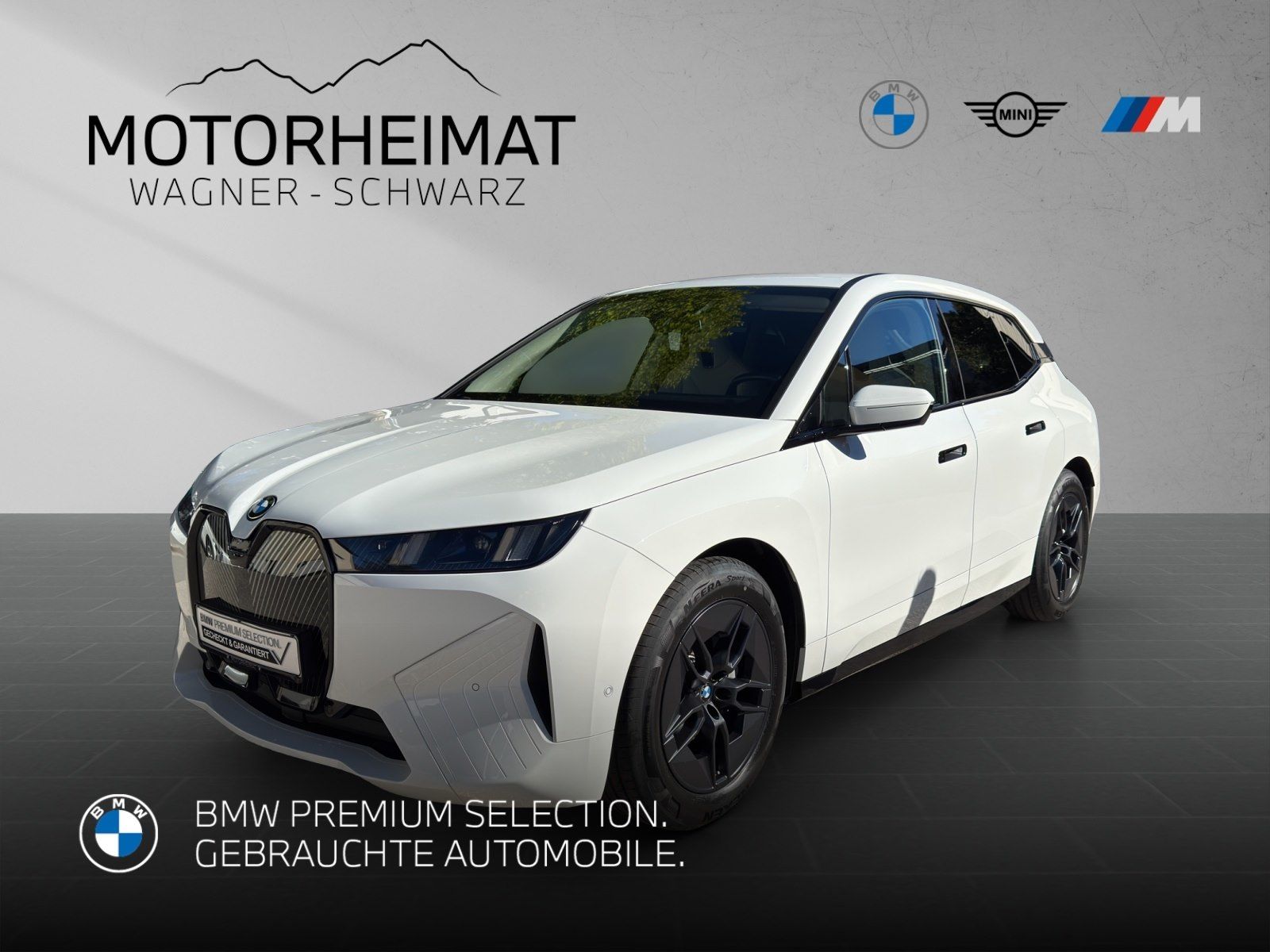 BMW iX xDrive45 ACC 0,25% DW-Versteuerung 0,99% Fina