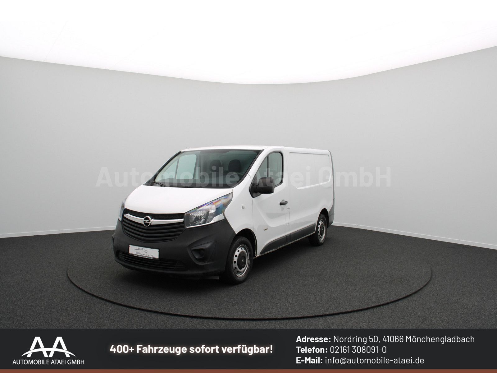 Fahrzeugabbildung Opel Vivaro Kasten L1H1 2,9t 8075