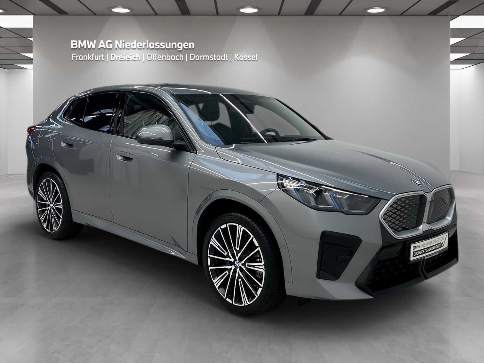 BMW iX2 xDrive30 M Sport AHK Driv.Assist.Prof LED foto 3