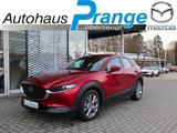Mazda CX-30 M-Hybrid G-150 AWD AT Selection ACT-P NAVI - Mazda Gebrauchtwagen in Osnabrück