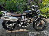 Triumph Scrambler 1200 XC/XE- Top Zubehör - TRIUMPH SCRAMBLER