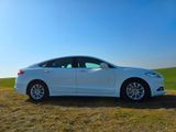 Ford Mondeo 1,5 EcoBoost Titanium  - Ford Mondeo: Weiß