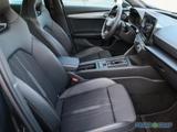 Cupra Formentor VZ 2.0 TSI 4Dr. ACC Navi RüKa Sitzh. - Cupra Formentor Gebrauchtwagen in Leipzig