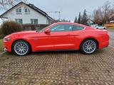 Ford Mustang 5.0 Ti-VCT V8 GT GT - Ford Mustang von privat