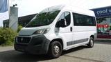 Fiat Ducato Maxi Shuttle - Fiat Ducato mit CNG-Antrieb: Kleinbus