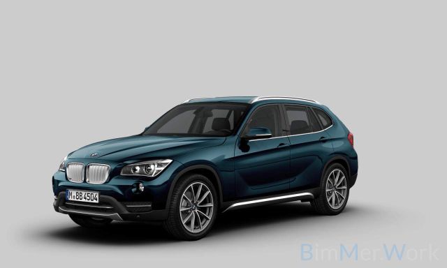 BMW X1 sDrive20d xLine HiFi Sitzhzg PDC Xenon Sport