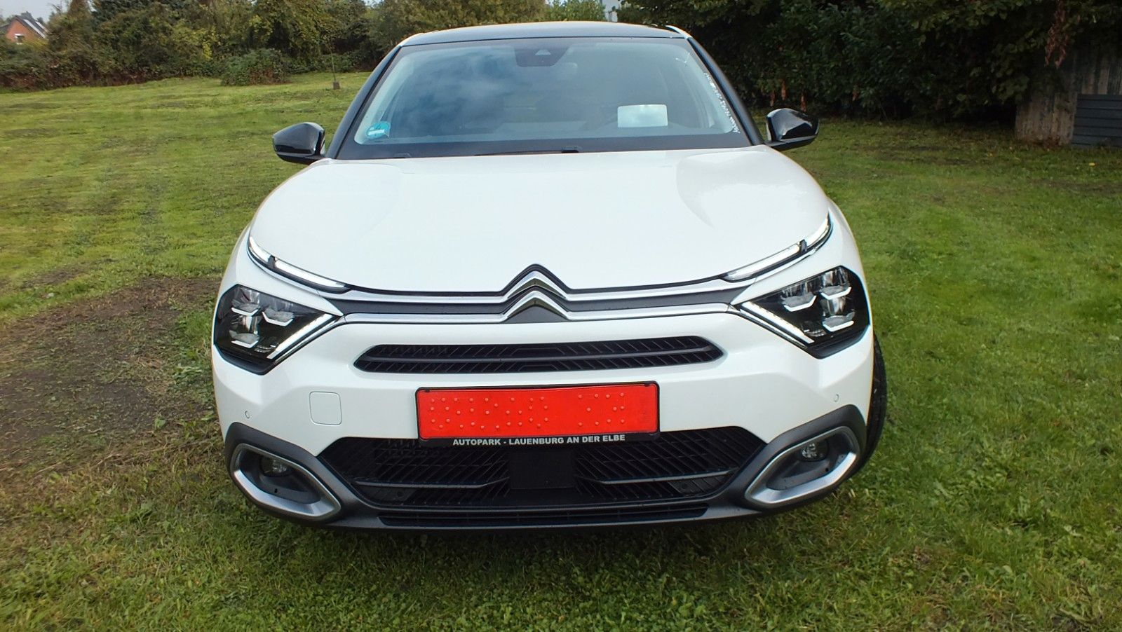 Citroën C4 Limousine BlueHDI 130 Stop&Start EAT8 Autom. imagem 2