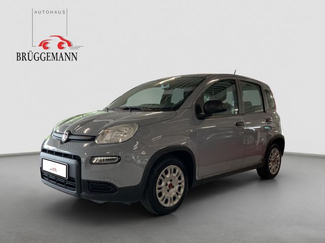 Fiat Panda 1.0 GSE Hybrid + Techpaket