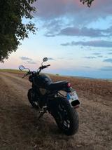 Yamaha XSR125 Sondermodell, 2Jahre Garantie , Zubehör  - YAMAHA XSR125