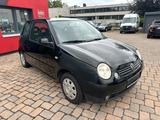 Volkswagen Lupo 1.0 50 PS Klima Servo Andrid - Volkswagen Lupo: 1.0
